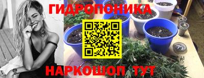 твердый Нальчик