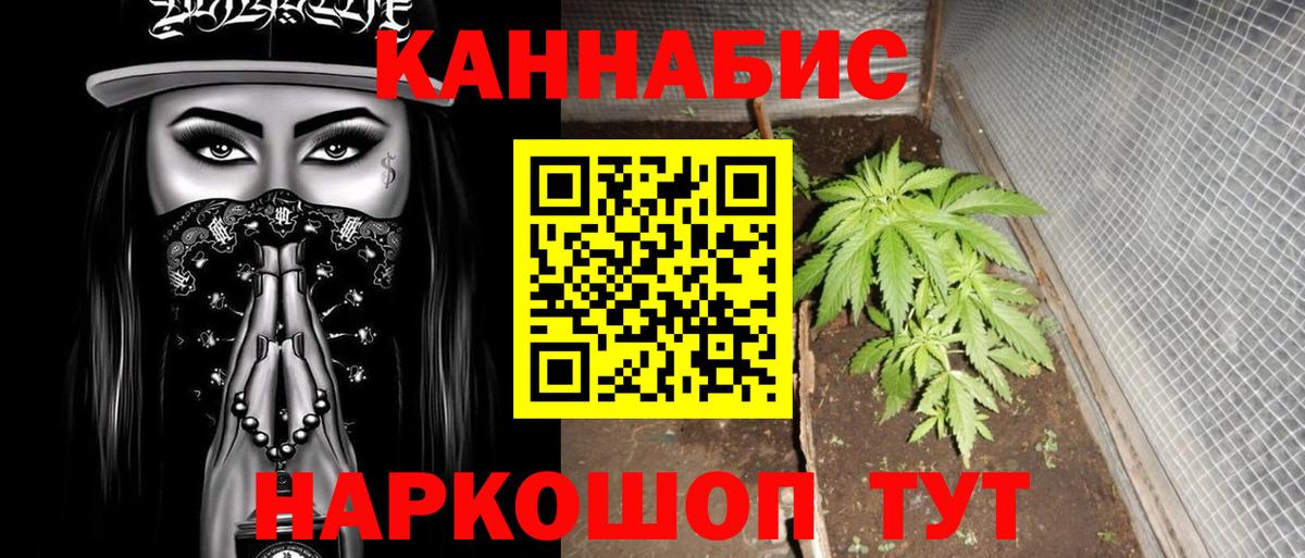 Каннабис OG Kush Брянск